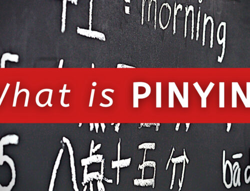 What is PINYIN?